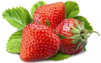 Fraises biologiques 1 lb