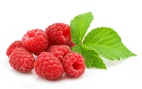 Raspberries, Organic, 6 oz