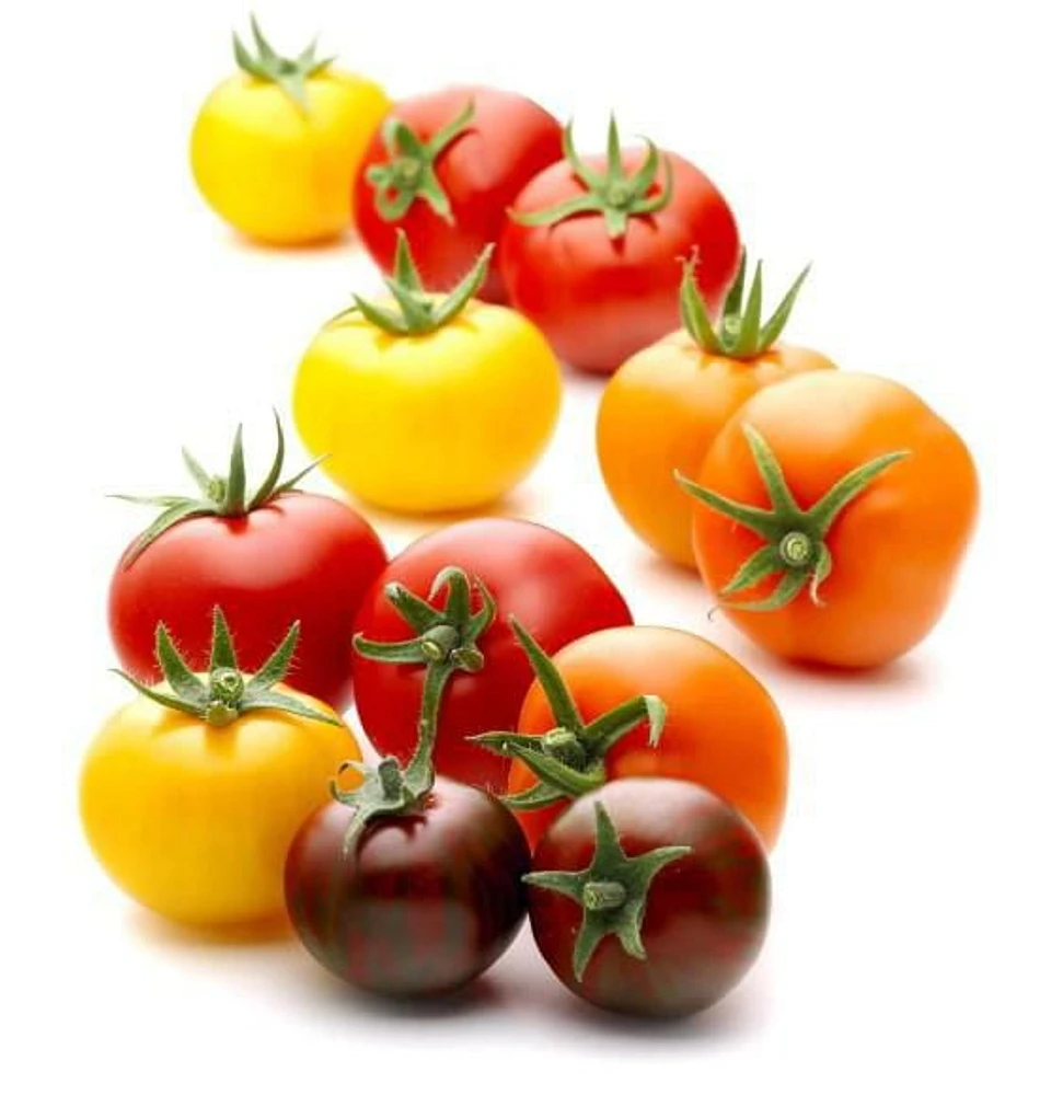Tomates biologiques Wild Wonders Sunset 284 g