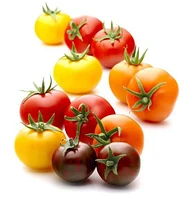 Tomates biologiques Wild Wonders Sunset 284 g