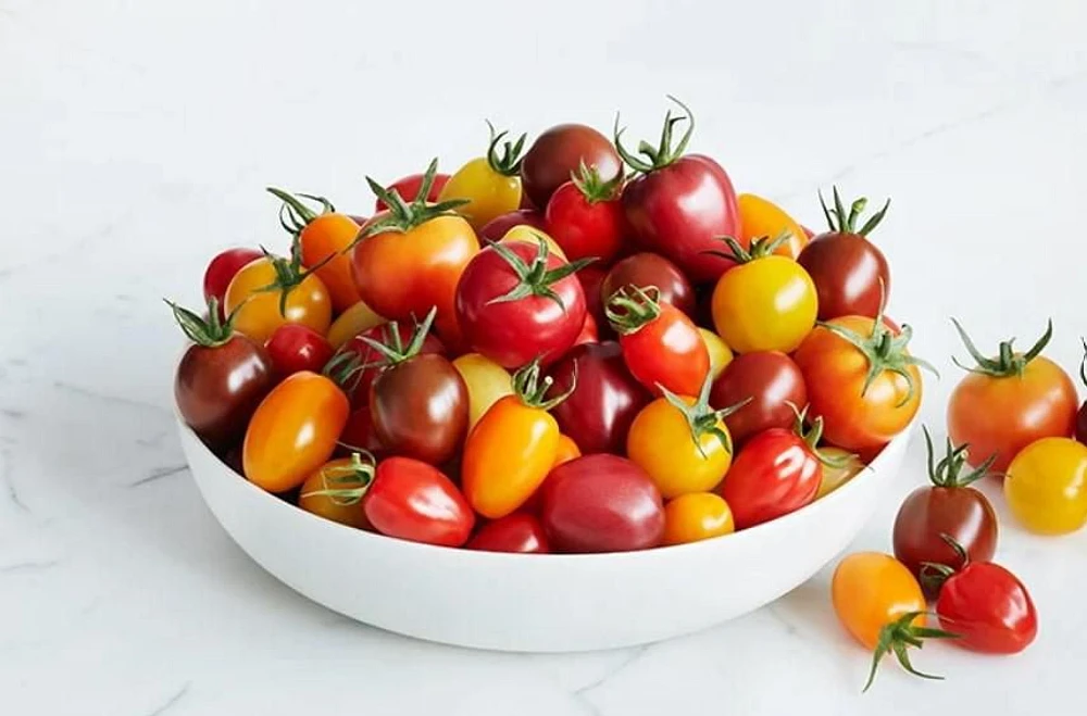Tomates biologiques Wild Wonders Sunset 284 g