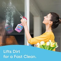 Windex® Multi-surface Cleaner with Lavender Scent, Perfect for Countertops, Bathrooms and More, 765mL