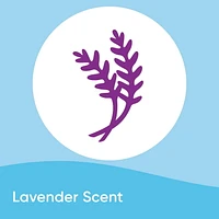 Windex® Multi-surface Cleaner with Lavender Scent, Perfect for Countertops, Bathrooms and More, 765mL