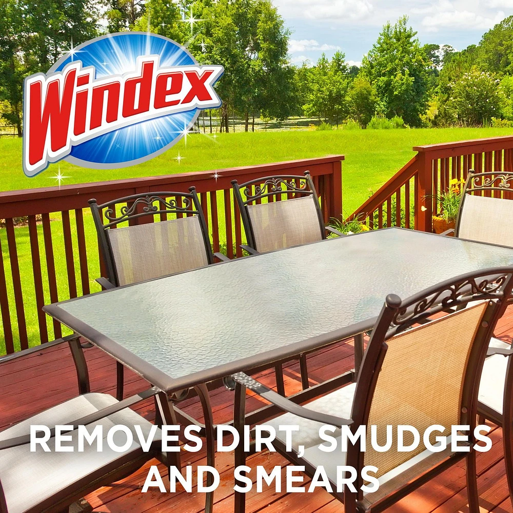 Windex® Outdoor Glass Cleaner, 950mL