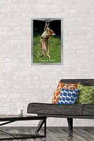 Famous Kitten Hang There Poster Wall Poster, 22.375" x 34"