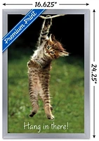 Famous Kitten Hang There Poster Wall Poster, 22.375" x 34"