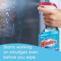 Windex® Glass Cleaner, Original, 950mL