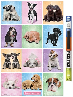 Keith Kimberlin - Puppies - Cuties Grid Wall Poster