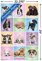 Keith Kimberlin - Puppies - Cuties Grid Wall Poster