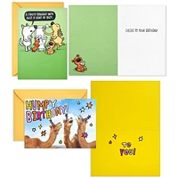 Hallmark Shoebox Funny Birthday Cards Assortment (8 Cards with Envelopes)