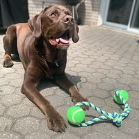 Dogit Knotted Rope Dog Toy, Multicoloured 2-Ball Looped Tug, 46 cm (18in)