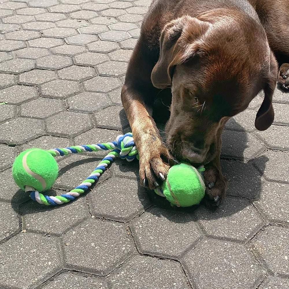 Dogit Knotted Rope Dog Toy, Multicoloured 2-Ball Looped Tug, 46 cm (18in)