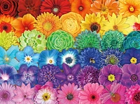 Buffalo Games - Vivid - Blooms of Color - 1000 Piece Jigsaw Puzzle