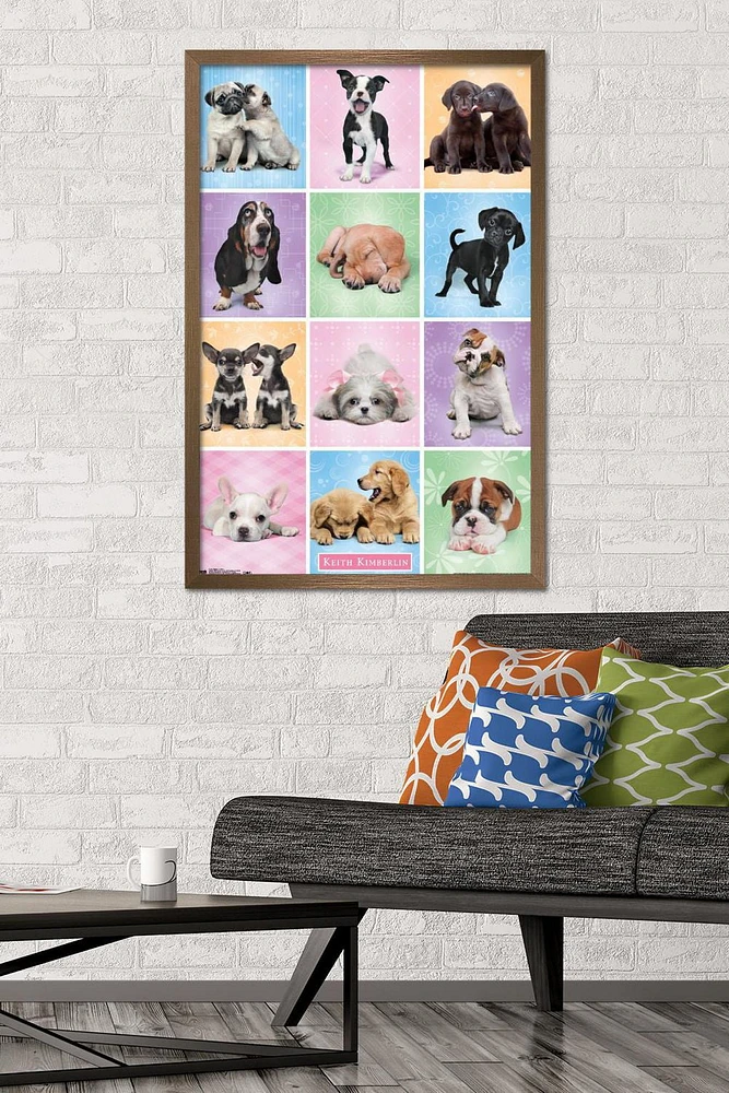 Keith Kimberlin - Puppies Cuties Grid Wall Poster, 22.375" x 34" Framed