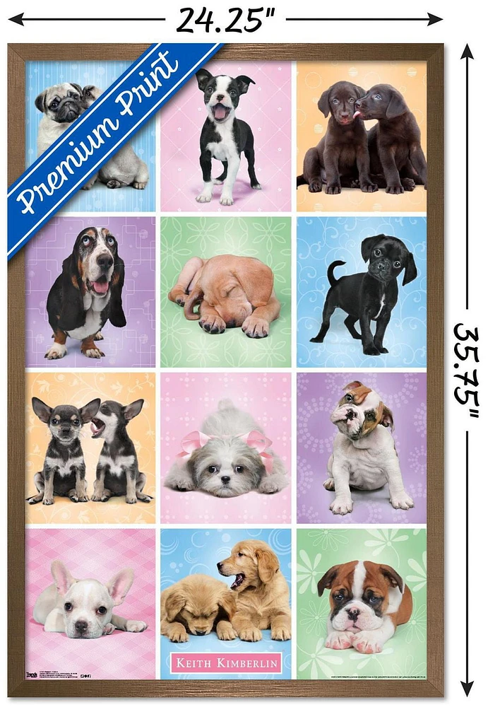 Keith Kimberlin - Puppies Cuties Grid Wall Poster, 22.375" x 34" Framed