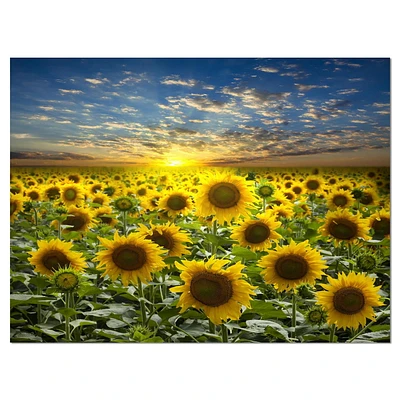 Designart Field of Blooming Sunflowers Canvas Wall Art