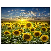 Designart Field of Blooming Sunflowers Canvas Wall Art