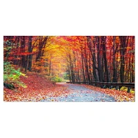 Designart Road in Beautiful Autumn Forest Canvas Wall Art