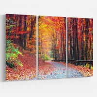 Designart Road in Beautiful Autumn Forest Canvas Wall Art