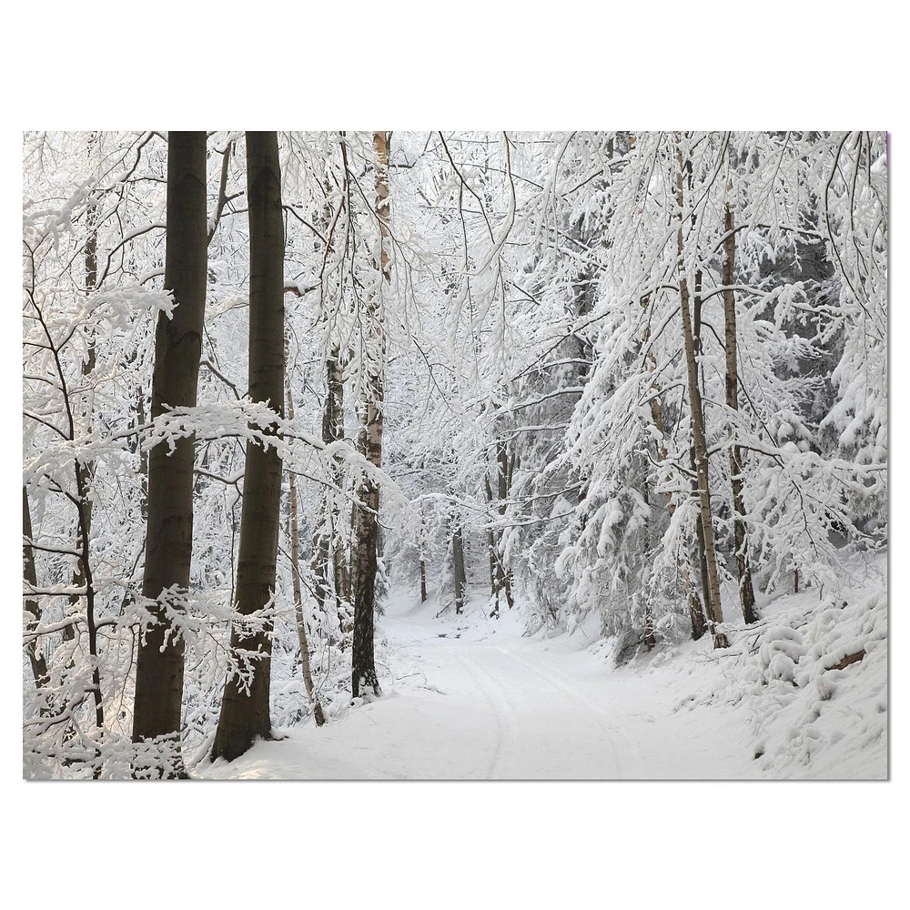 Designart Dense Winter Forest and Lane Canvas Wall Art