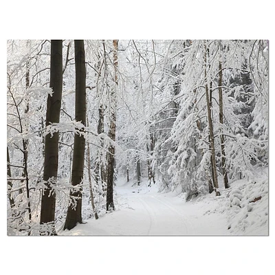 Designart Dense Winter Forest and Lane Canvas Wall Art