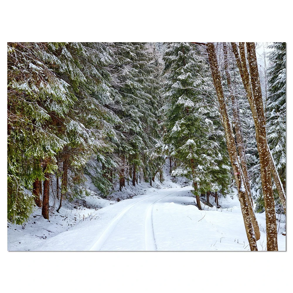 Designart Snowy Road in the Forest Canvas Wall Art