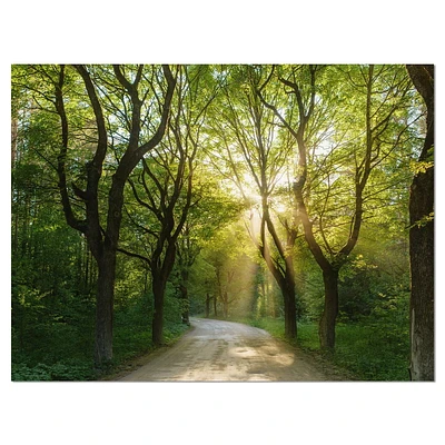 Designart Evening in Green Forest Canvas Wall Art