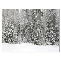 Designart Foggy Winter Forest Panorama Canvas Wall Art