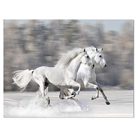 Designart Two White Horse Canvas Wall Art