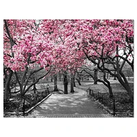 Designart Cherry Blossoms Canvas Wall Art