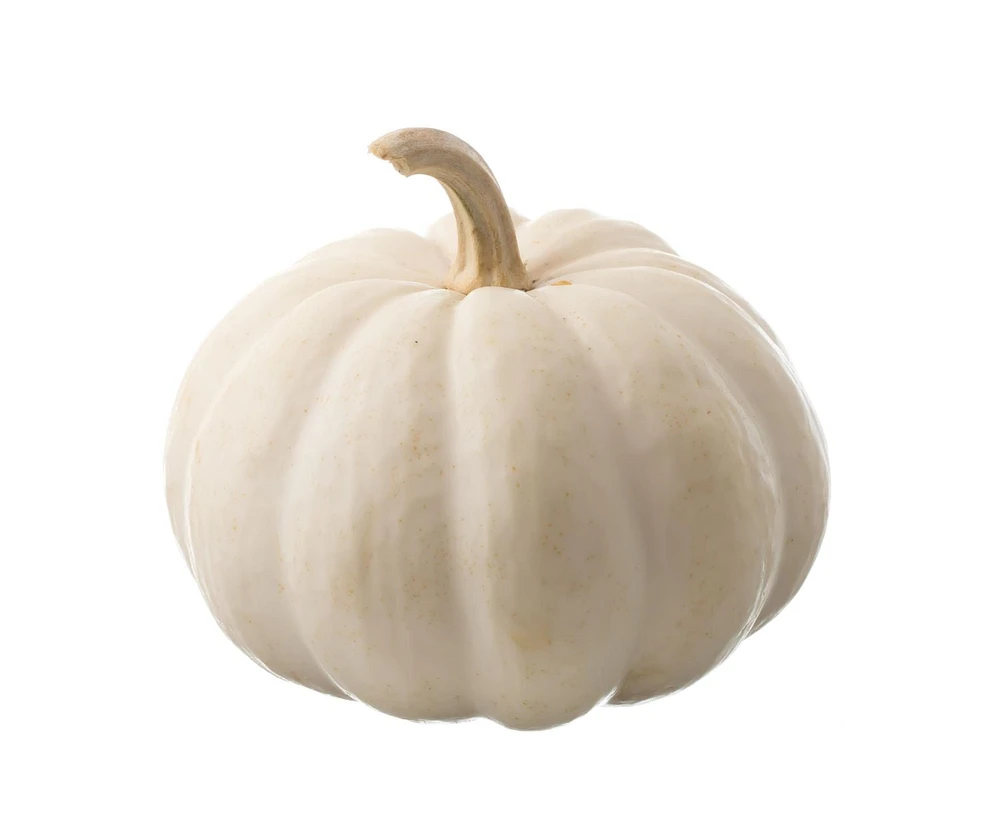 Pumpkin, White, Sold by each