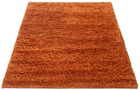 ECARPETGALLERY Metro Plush Burnt Orange Shag 5'0" x 7'0"