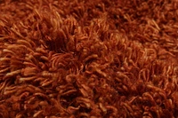 ECARPETGALLERY Metro Plush Burnt Orange Shag 5'0" x 7'0"