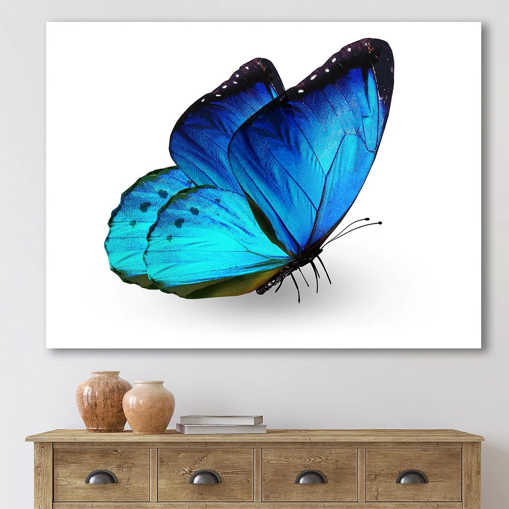 Designart Vibrant Blue Butterfly Canvas Wall Art