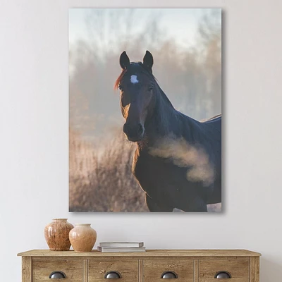 Designart Portrait Of A Horse On An Autumn Morning Canvas Wall Art