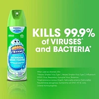 Scrubbing Bubbles Désinfectant Chasseur de saleté de salle de bain, Détruit les germes dans les baignoires, sur les murs de douche et bien plus, parfum Rosée du matin, 623g