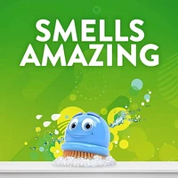 Scrubbing Bubbles Désinfectant Chasseur de saleté de salle de bain, Détruit les germes dans les baignoires, sur les murs de douche et bien plus, parfum Rosée du matin, 623g