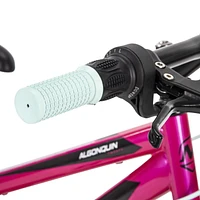 Movelo Algonquin 20" Girls’ Steel Mountain Bike, 6 speeds