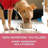 Purina ONE SmartBlend Formule pour la Santé Digestive Poulet, Nourriture Sèche pour Chiens 5,4-9,5kg