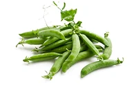 English Peas