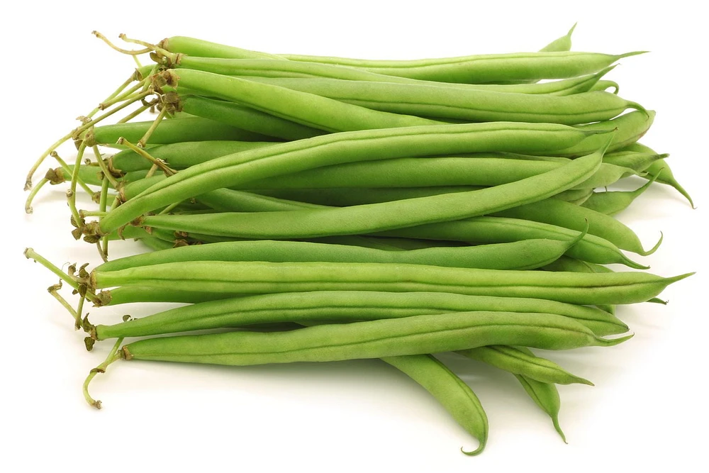 Haricots verts, 24 oz, 0.67 - 0.68 KG