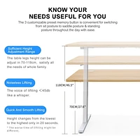 Hi5 Ez Electric Height Adjustable Standing Desk with ergonomic contoured Tabletop (71"x 31.5" / 180 x 80cm) and dual motor lift system for Home Office Workstation (Black Top/Black Frame)