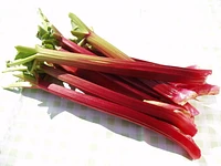Rhubarbe, noir Vendu en botte