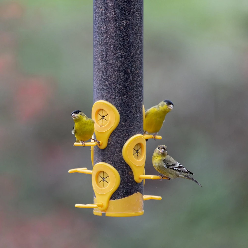 Perky-Pet Finch Feeder, Holds up to 1.5 lb of Nyjer / thistle seed