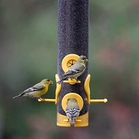 Perky-Pet Finch Feeder, Holds up to 1.5 lb of Nyjer / thistle seed