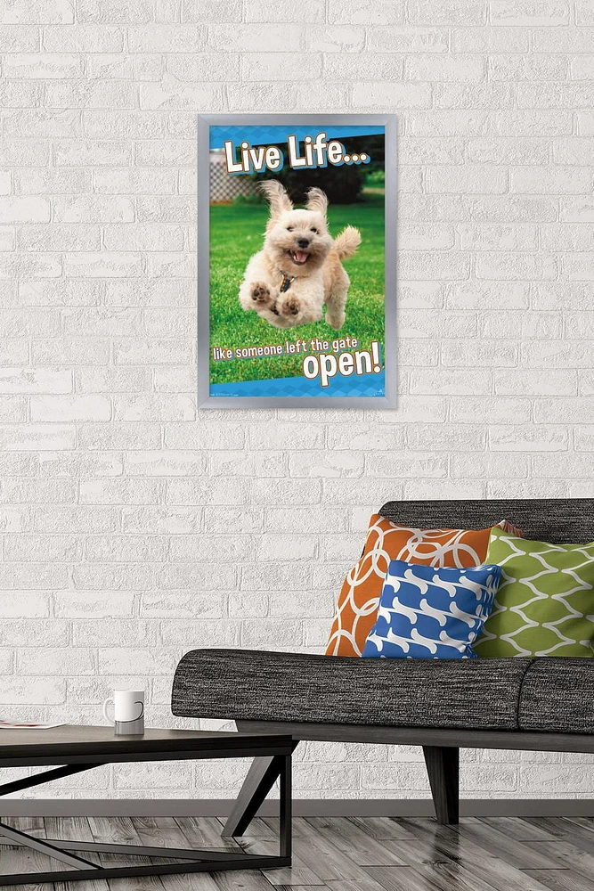 Avanti - Dog Joy Wall Poster