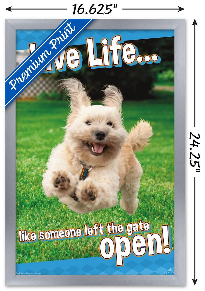 Avanti - Dog Joy Wall Poster