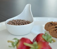 Essentials Mini 1.6oz Round Dish