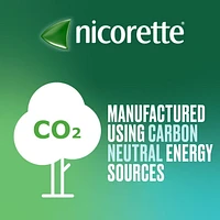 Vaporisateur à la nicotine Nicorette VapoÉclair, aide pour cesser de fumer, menthe fraîche, 1 mg, TRN, emballage duo 150 vaporisations x 2
