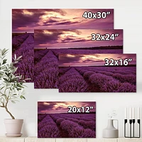 Designart Sunrise & Dramatic Clouds Over Lavender Field III Canvas Wall Art